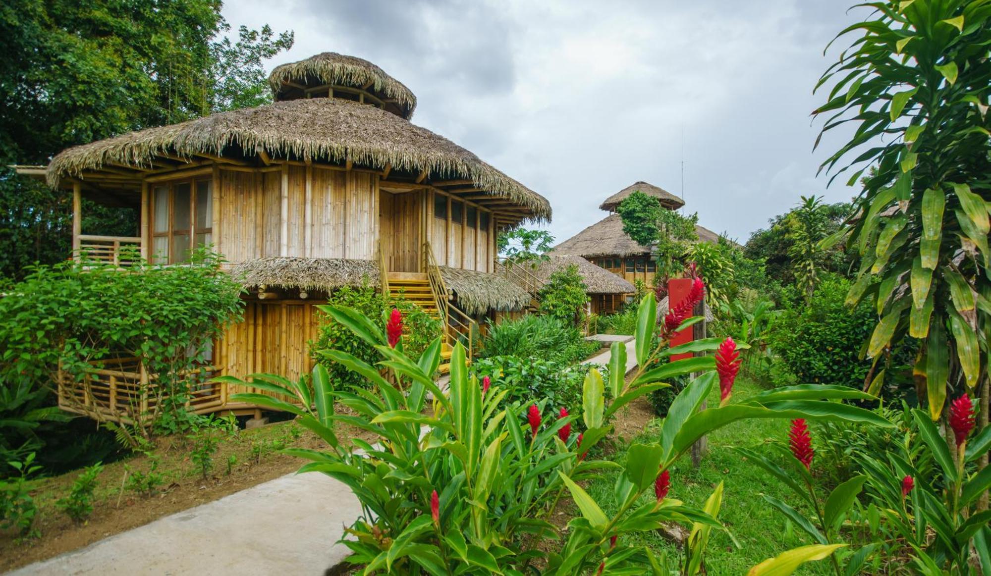 La Selva Eco-Lodge & Retreat Providencia Exterior foto